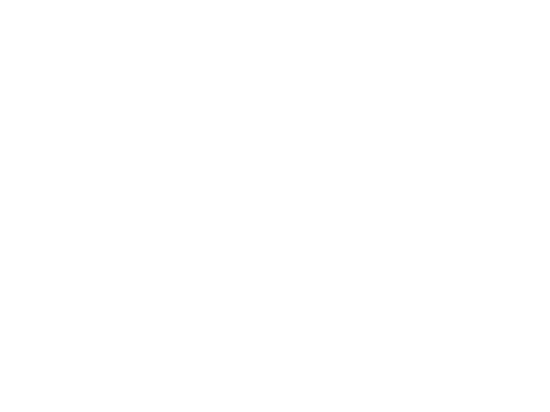 Servant Heart